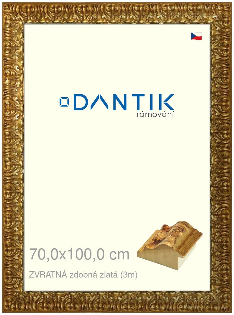 DANTIK rám na obraz 70x100 | ZVRATNÁ zdobná zlatá (Plexi Čiré)