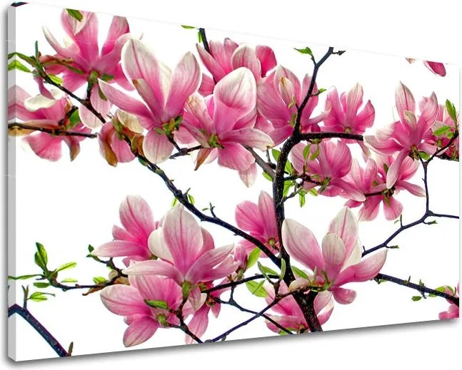 Obraz na stenu KVETY XOBKV132E11 - 80x120 cm