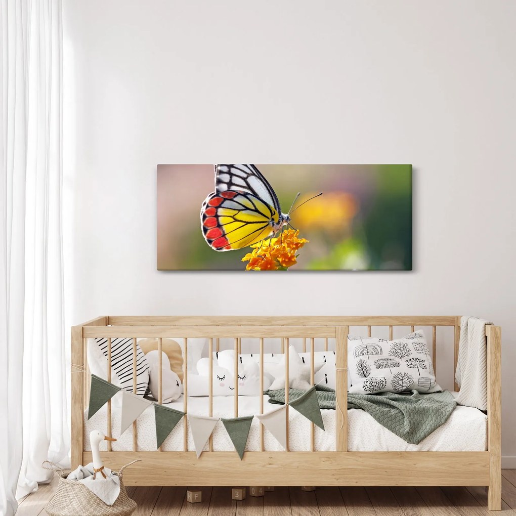 Obraz motýľa na kvete (120x50 cm)