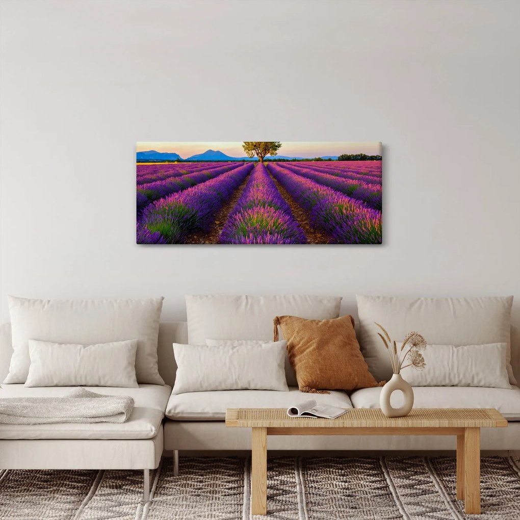 Obraz - Levanduľové pole (120x50 cm)