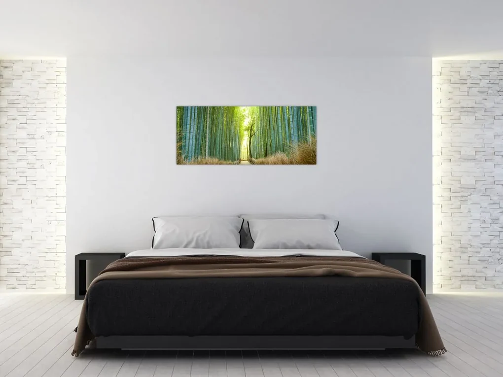 Obraz - Bambusový les (120x50 cm)