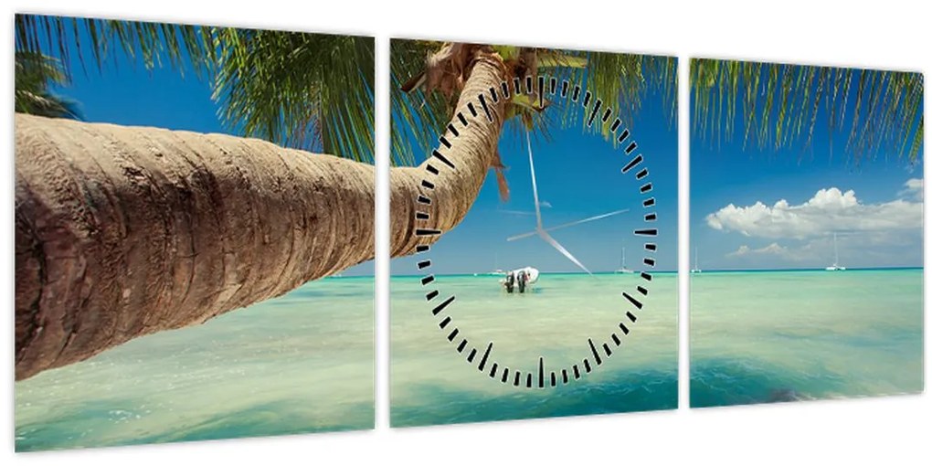 Obraz - Čisté more s palmou (s hodinami) (90x30 cm)