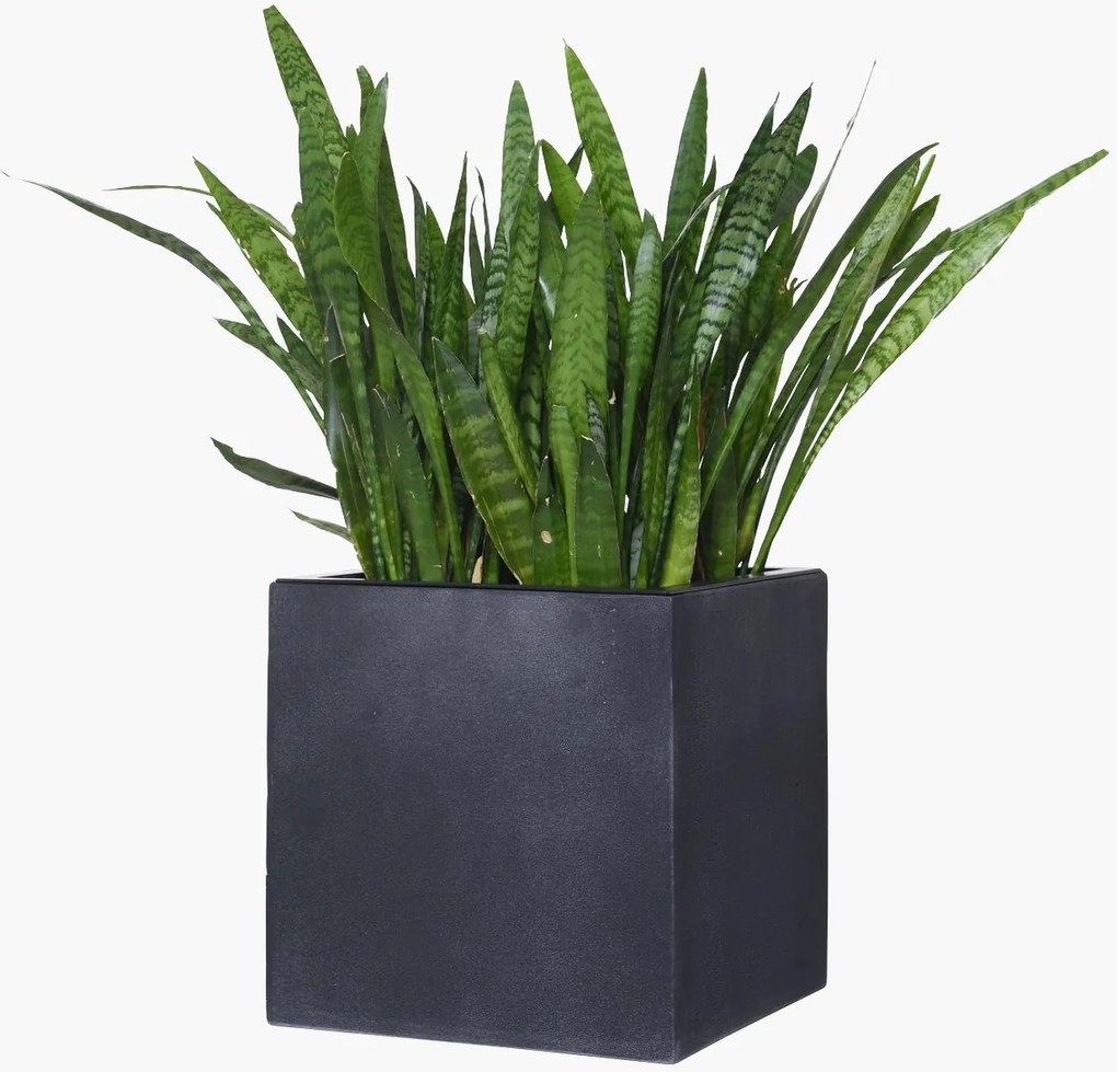 Kvetináč BLOCK, sklolaminát-vzhľad kameňa, 40x40x40 cm, antracit