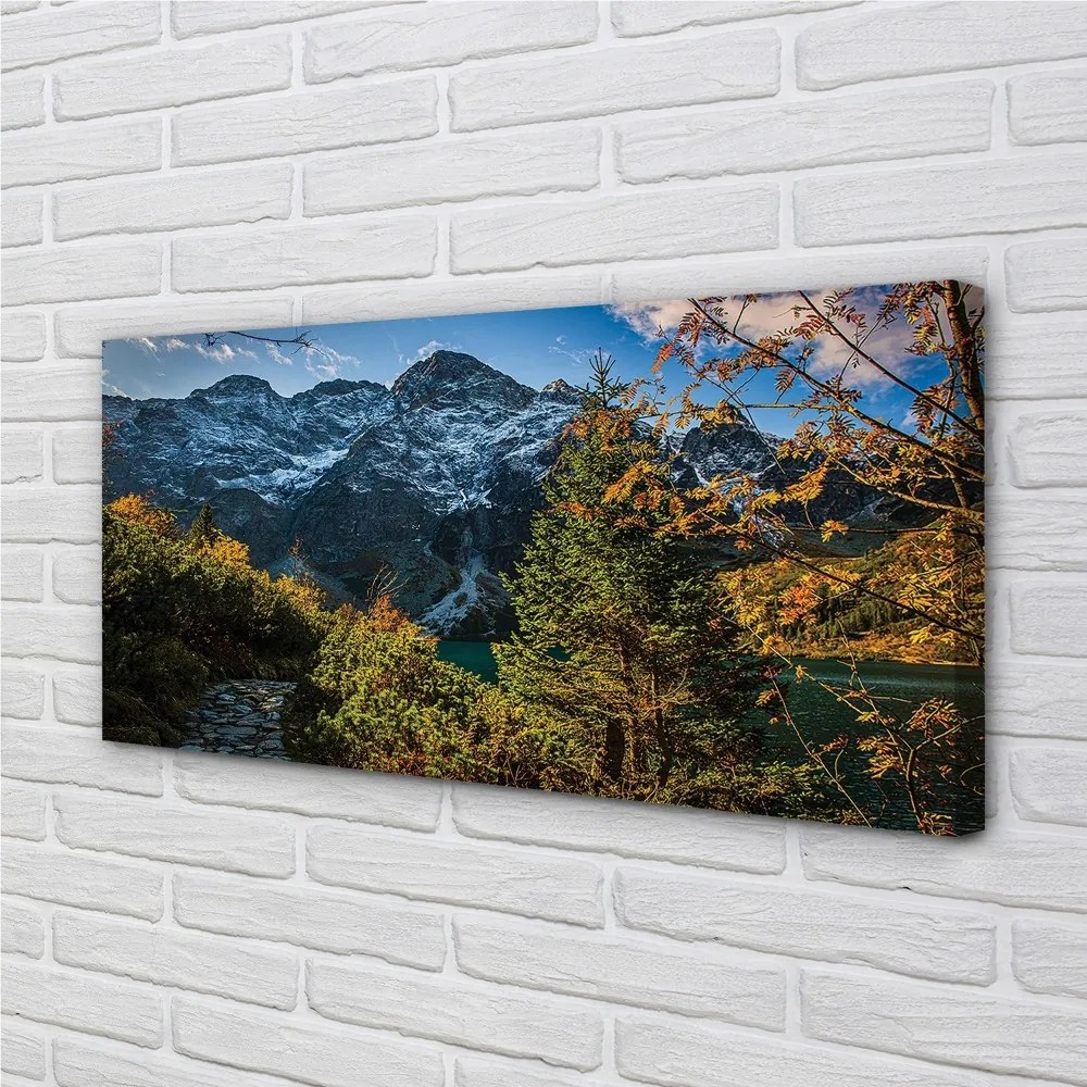 Obraz canvas jazierka salašnícky 120x60 cm