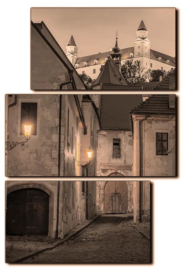 Obraz na plátne - Bratislava staré mesto s hradom vzadu - obdĺžnik 7265FD (90x60 cm)