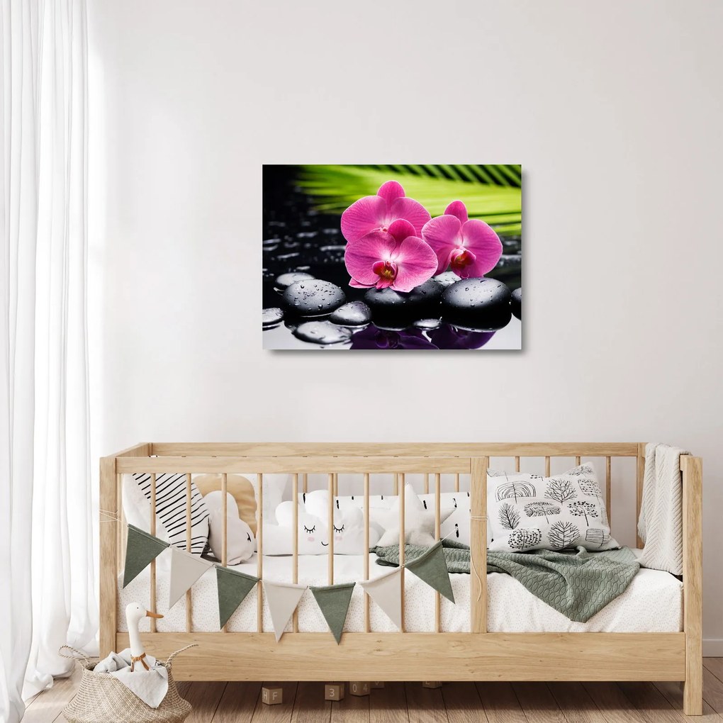 Sklenený obraz - Ružové orchidey s palmovým listom (70x50 cm)