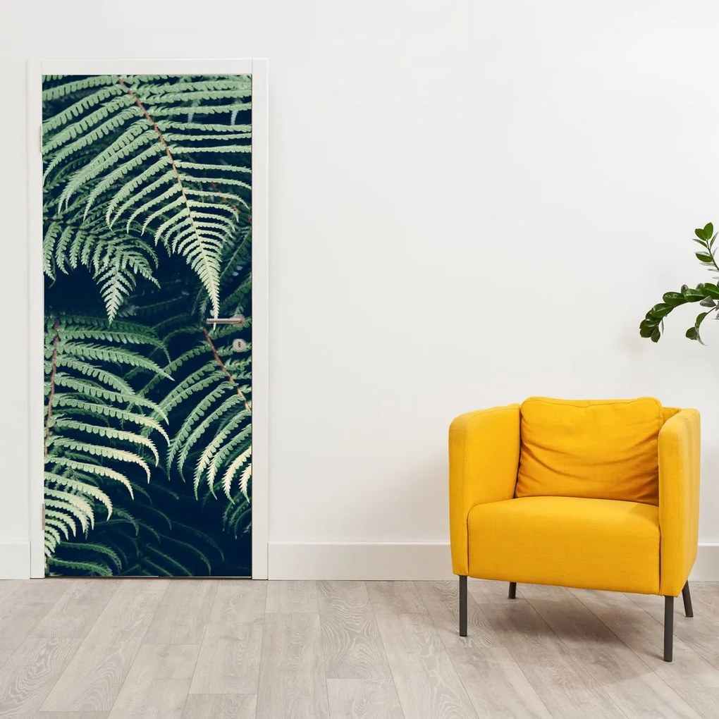 Fototapeta na dvere - Listy papradí (95x205cm)
