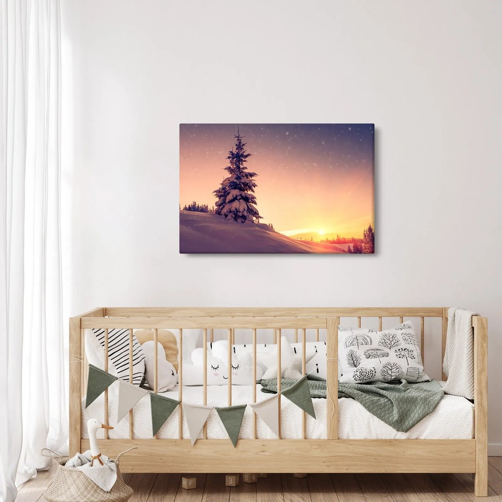 Obraz zasneženého stromu na lúke (90x60 cm)