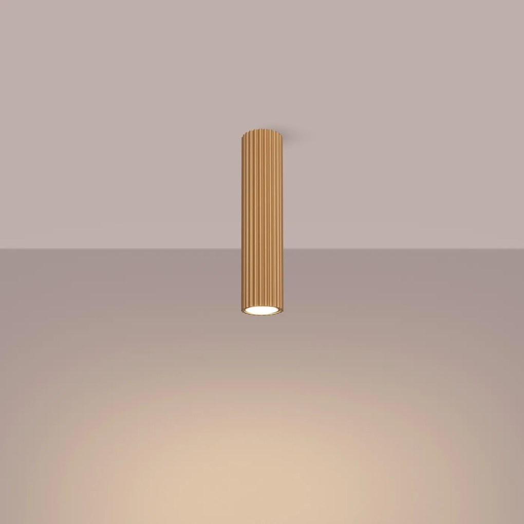 Stropné svietidlo Karbon, 1x zlaté kovové tienidlo, (30 cm)