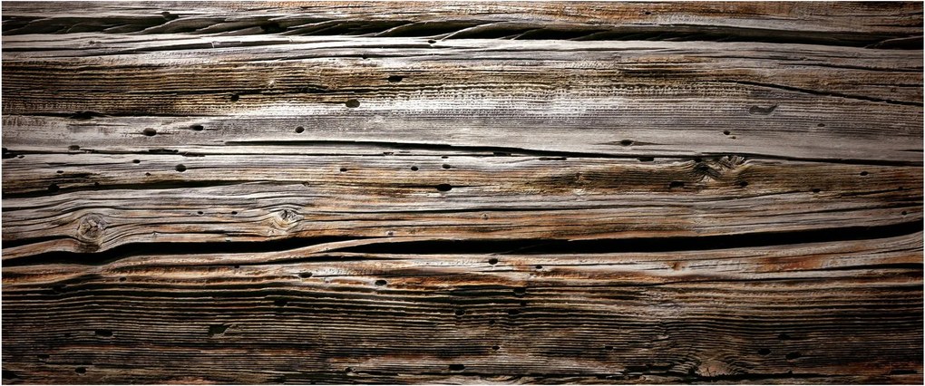 Obraz - sezónne drevo (120x50 cm)