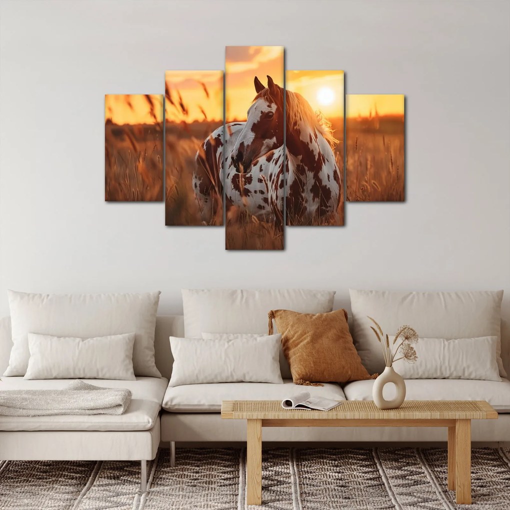 Obraz - Kôň pri západe slnka (150x105 cm)