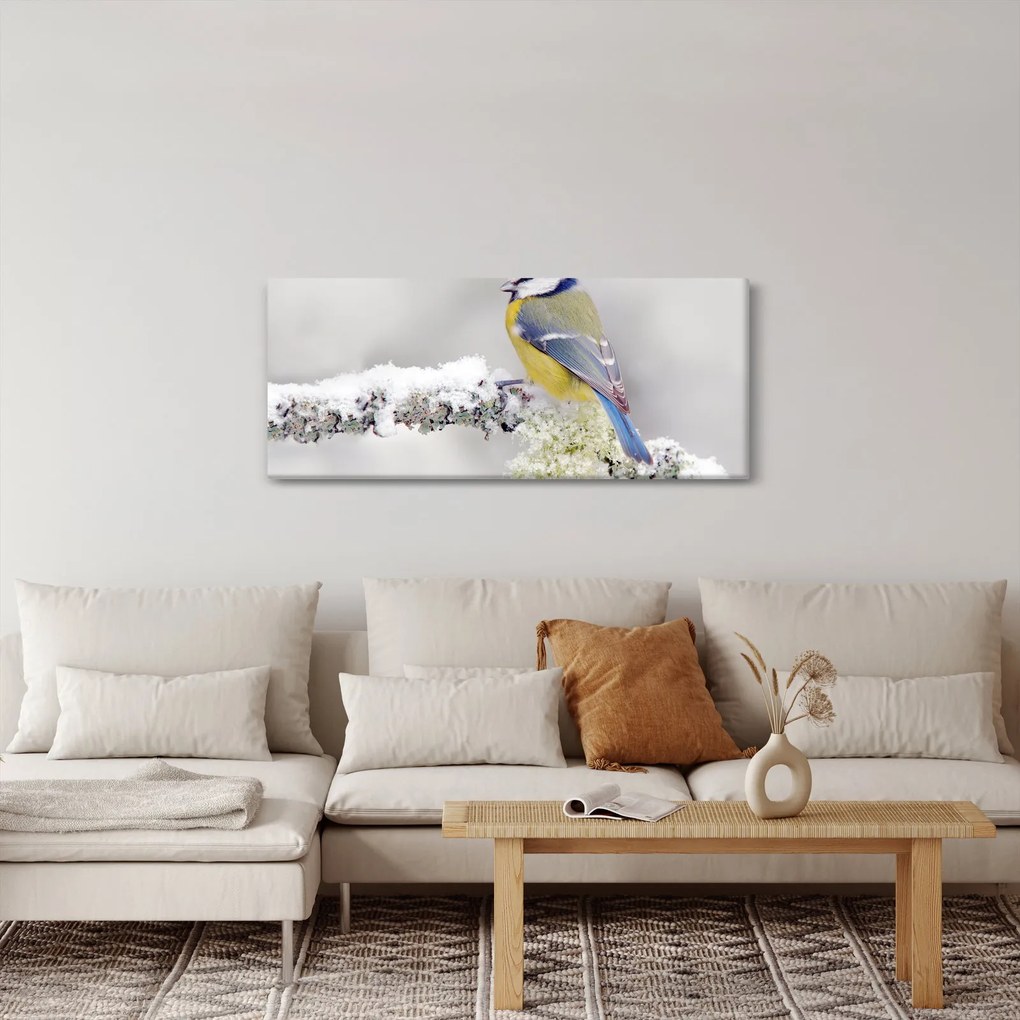 Obraz - Sýkorka (120x50 cm)
