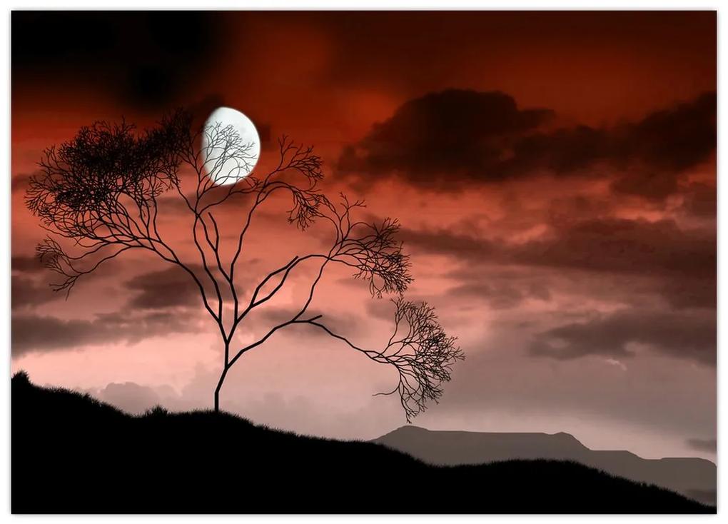 Sklenený obraz - Mesiac osvetľujúce noc (70x50 cm)