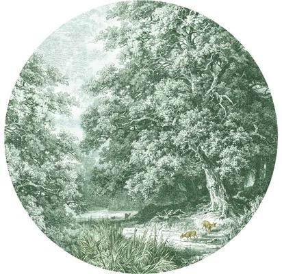 Fototapeta vliesová Jeleň v lese 190 cm