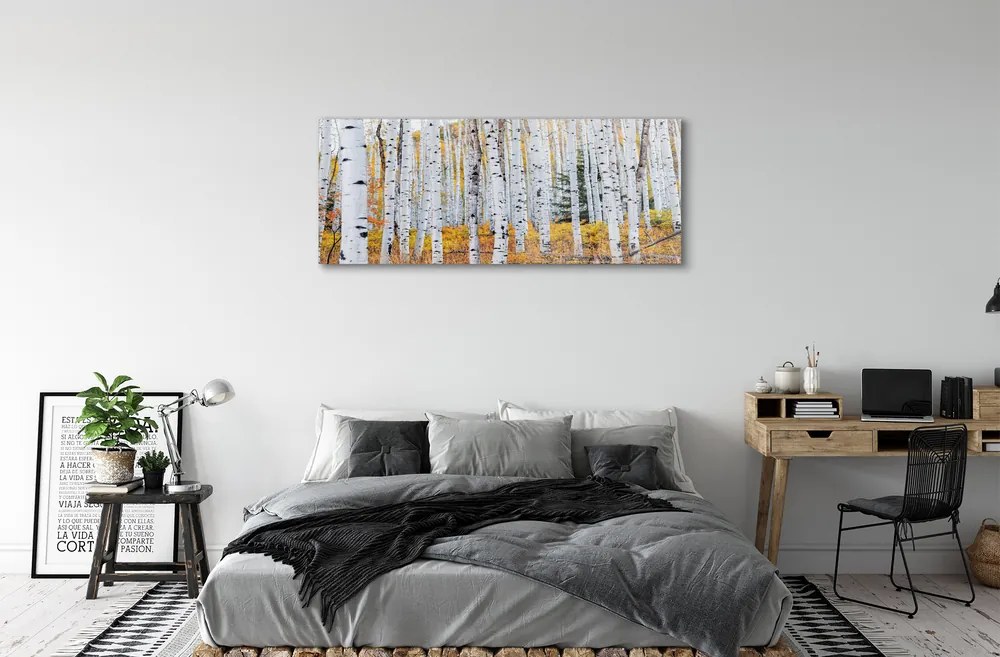 Obraz plexi Jesene breza 120x60 cm
