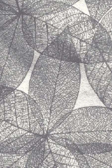 Koberec FD Lush Haust popolový