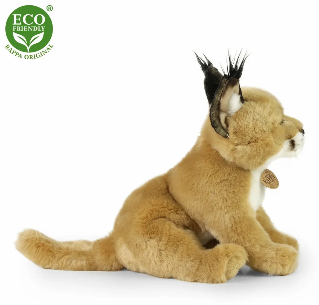 ECO-FRIENDLY karakal RAPPA 30 cm