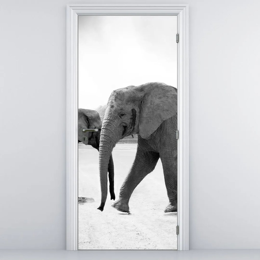 Fototapeta na dvere - Čiernobiele slony (95x205cm)