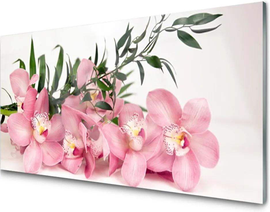 Obraz plexi Orchidea Kvety Kúpele