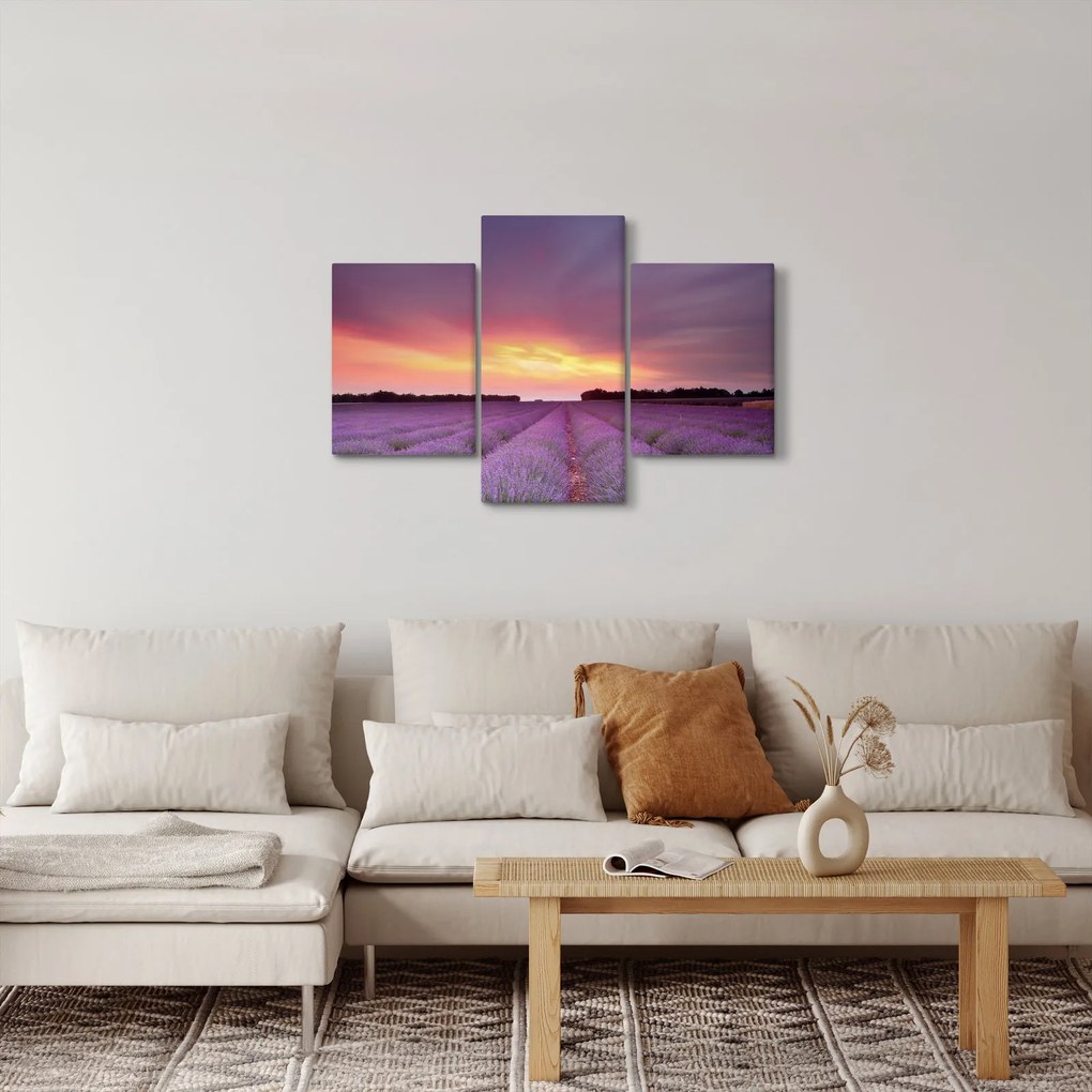 Obraz - Levanduľové pole (90x60 cm)