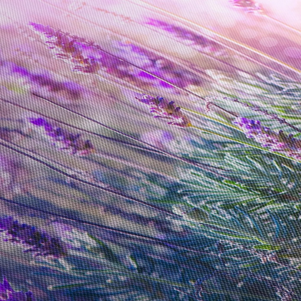 Obraz - Levanduľa vo trblietania slnka (120x50 cm)