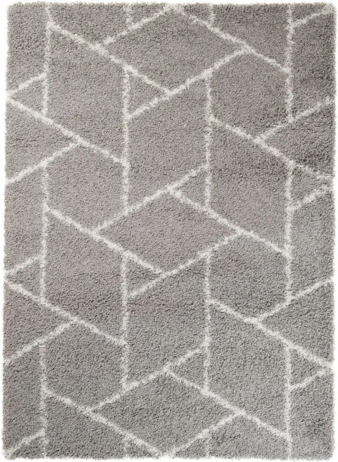 Kusový koberec Shaggy Inur šedý 2, Velikosti 160x220cm
