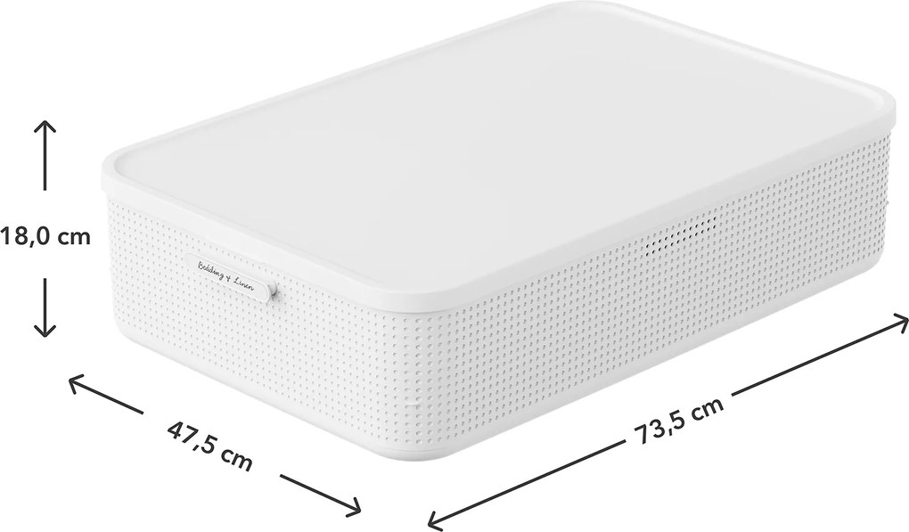 Rotho Úložný box do skrine s vekom a priehradkou na levanduľu, šatníkový organizér LISORA - XL, 73,5 × 47,5 × 18 cm