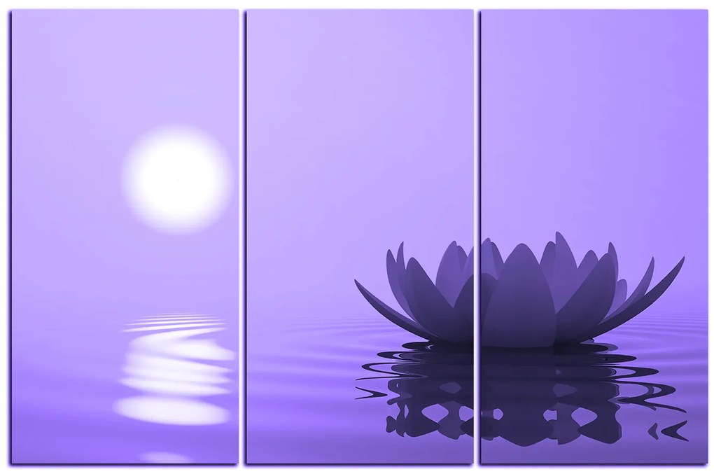 Obraz na plátne - Zen lotus 1167VB (120x80 cm)