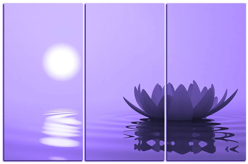 Obraz na plátne - Zen lotus 1167VB (135x90 cm)