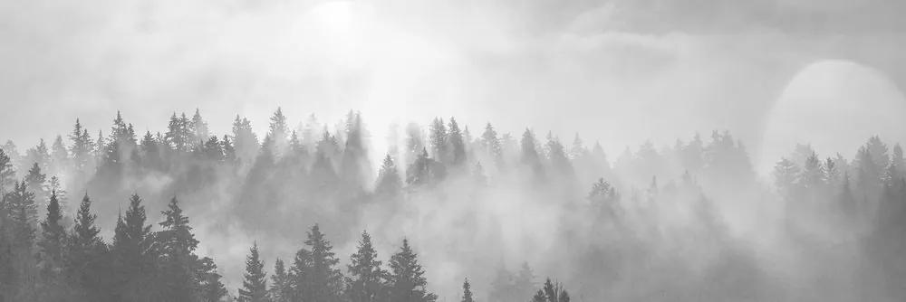 Obraz hmla nad lesom v čiernobielom prevedení Varianta: 120x40