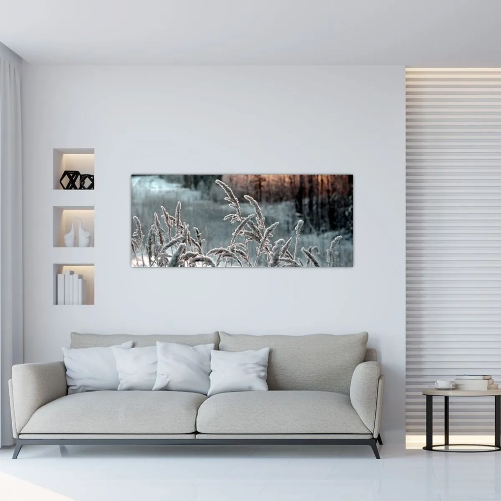 Obraz - Zamrznutá lúka (120x50 cm)