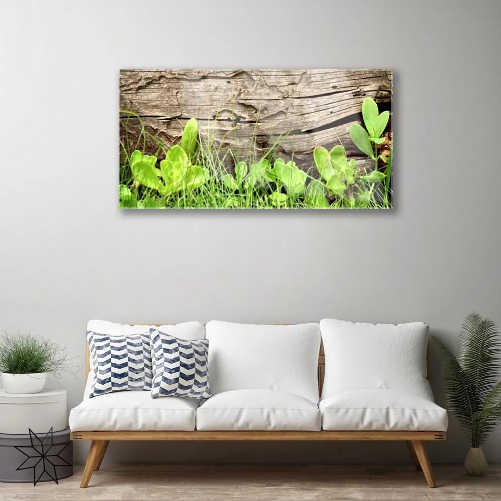 Skleneny obraz Tráva listy kvety 125x50 cm