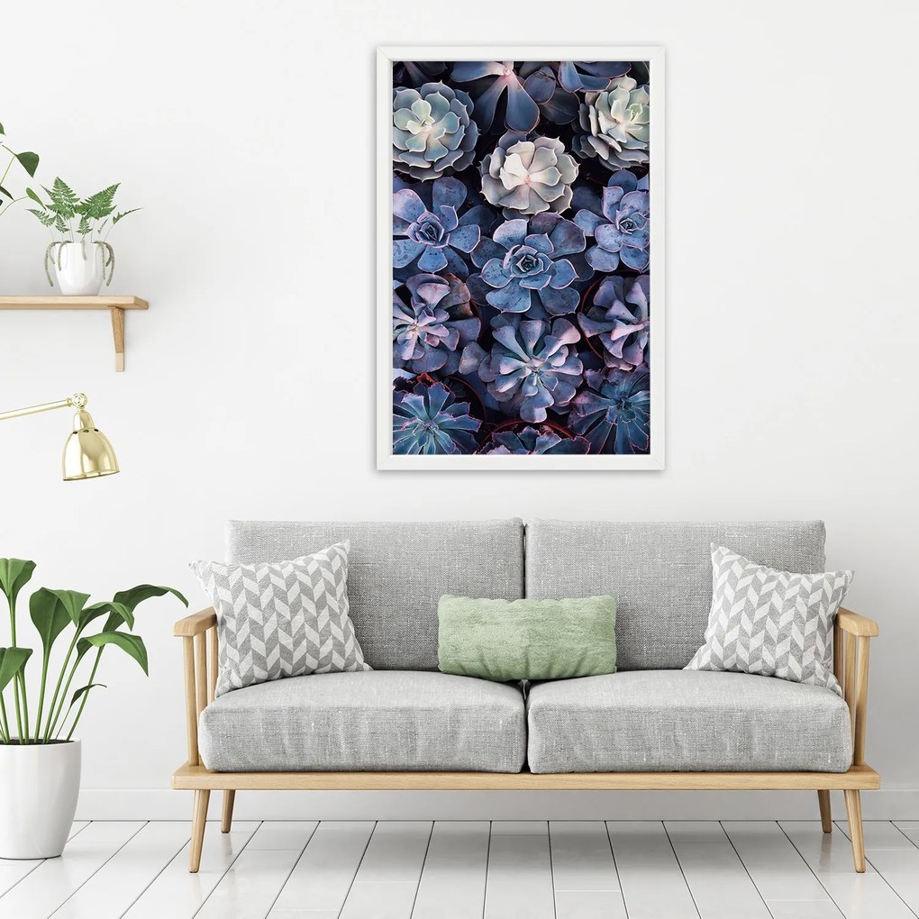 Gario Plagát Zbierka sukulentov Farba rámu: Bez rámu, Rozmery: 30 x 45 cm