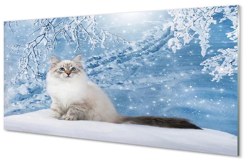 Obraz na akrylátovom skle Mačka zima 100x50 cm