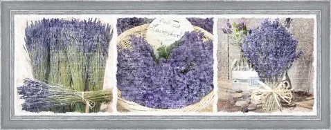 Rámovaný obraz 30x90 cm FAP248%