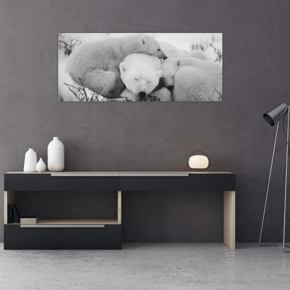 Obraz - Ľadové medvede (120x50 cm)