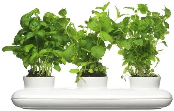 Kvetináč SAGAFORM Herb Trio 40cm