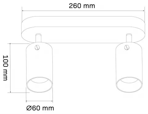 Bodové svietidlo SMOKY 2xGU10/10W/230V čierna
