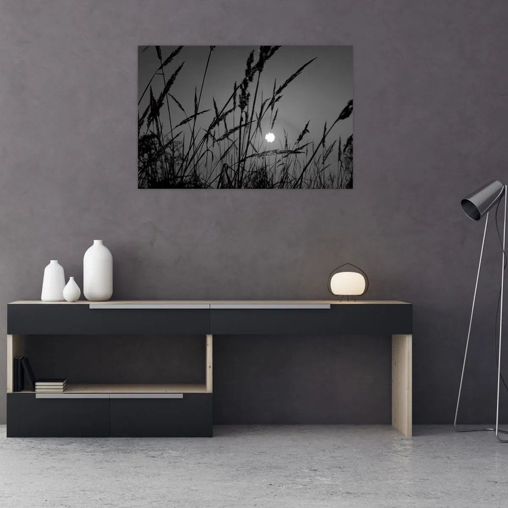 Obraz - Lúka so západom slnka (90x60 cm)