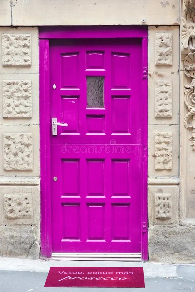 Mercury Flooring, Rohožka Vstup pokiaľ máš Prosecco 40x60 cm, 40x60, ružová