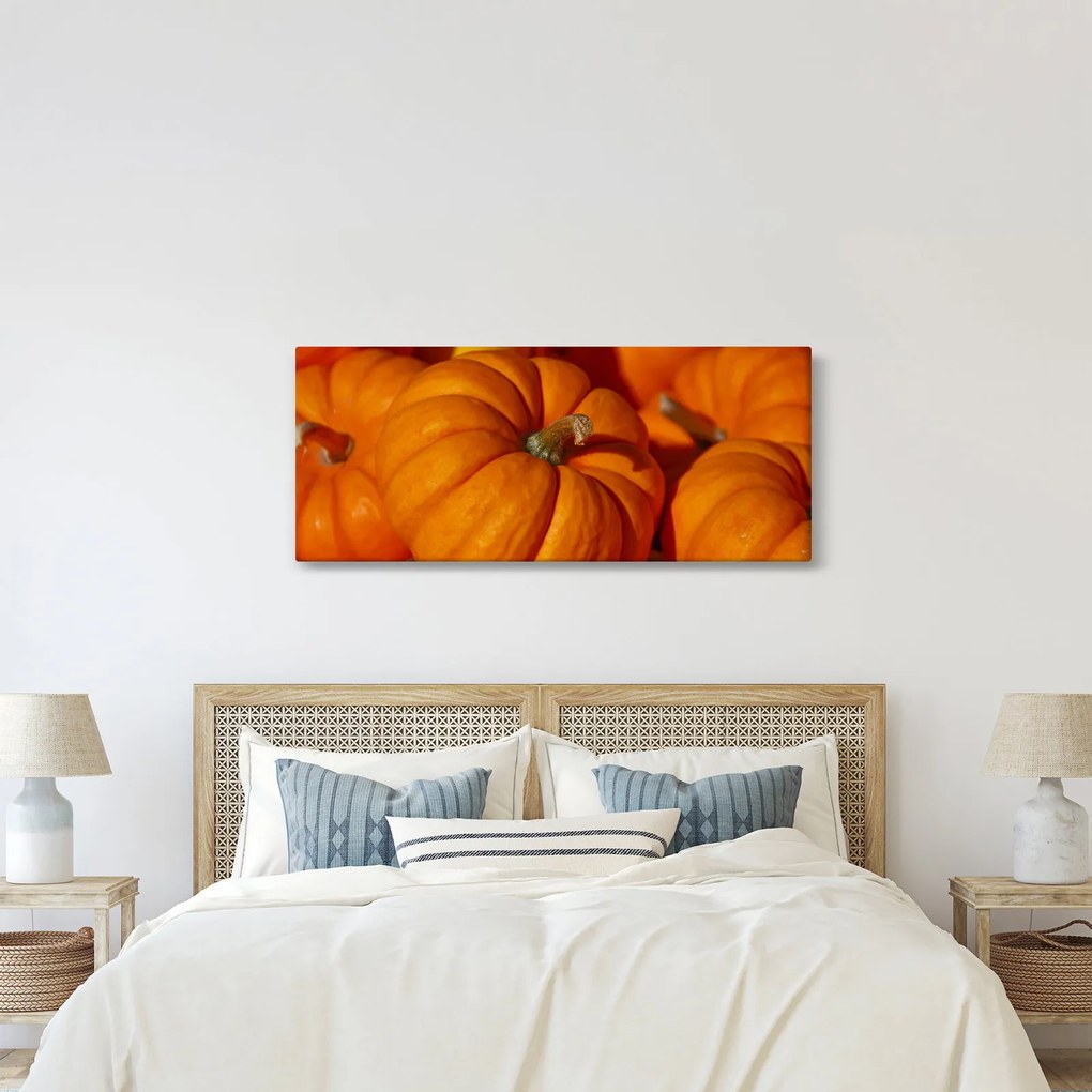 Obraz - Veľké tekvice (120x50 cm)