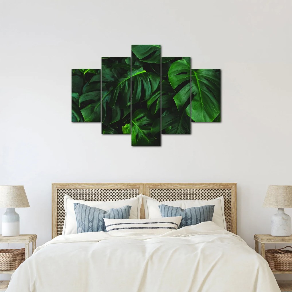 Obraz listov Monstery (150x105 cm)