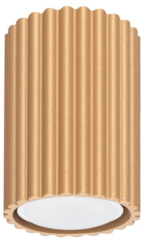 Stropné svietidlo Karbon, 1x zlaté kovové tienidlo, (10 cm)