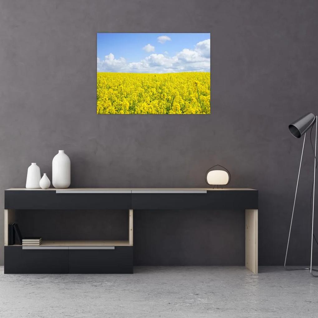 Obraz žltého poľa (70x50 cm)