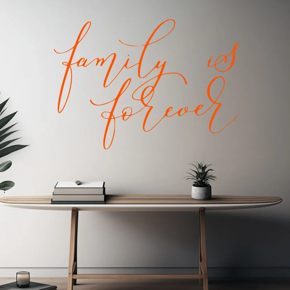 Veselá Stena Samolepka na stenu na stenu Family is forever Farba: čierna