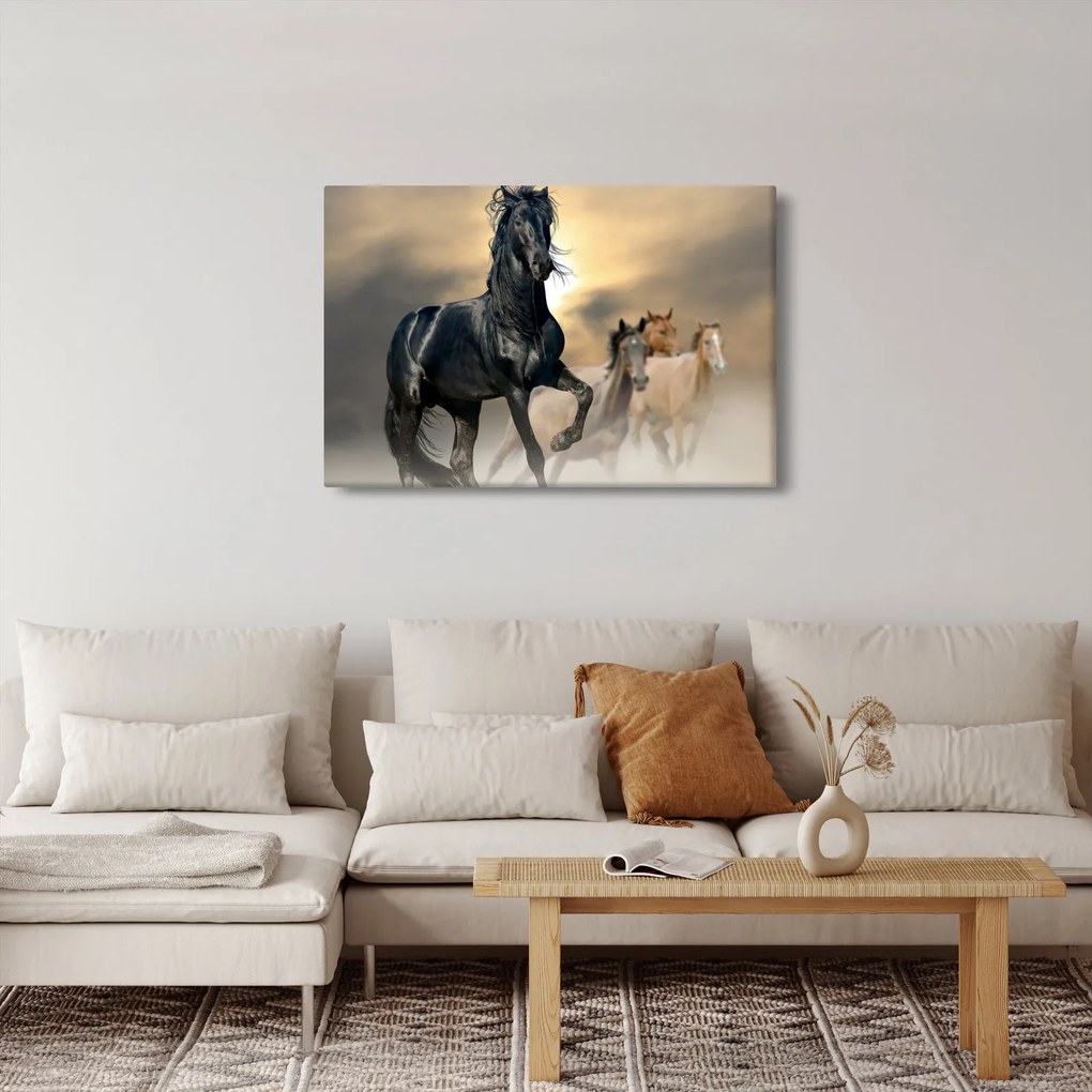 Obraz - Kone (90x60 cm)