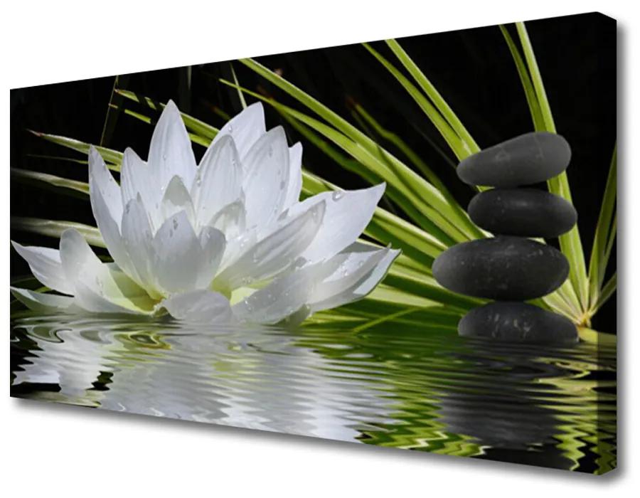 Obraz Canvas Kvety kamene zen voda 140x70 cm