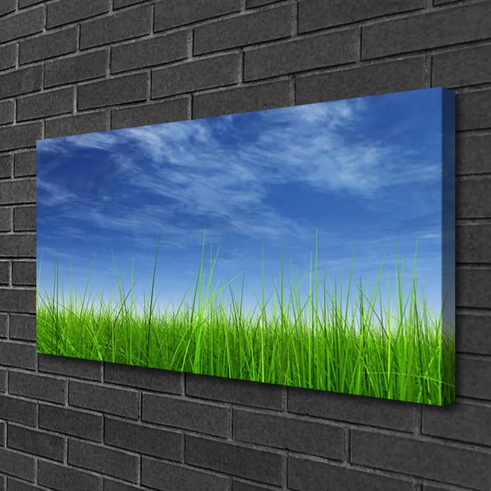 Obraz na plátne Nebo tráva príroda 125x50 cm