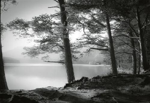 Vliesové fototapety, rozmer 368 x 254 cm, lesní jazero, W+G 5134-4V-1