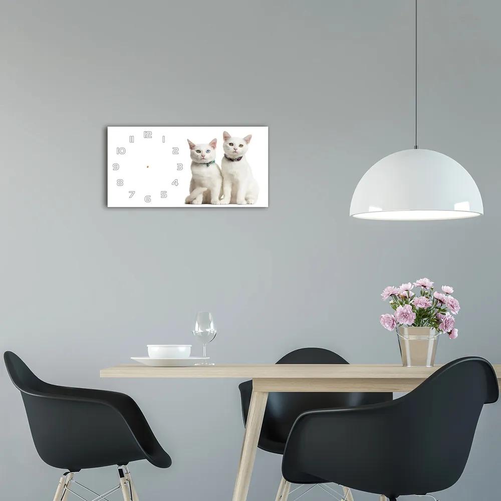 Moderné sklenené hodiny na stenu Biele mačky pl_zsp_60x30_f_97350767